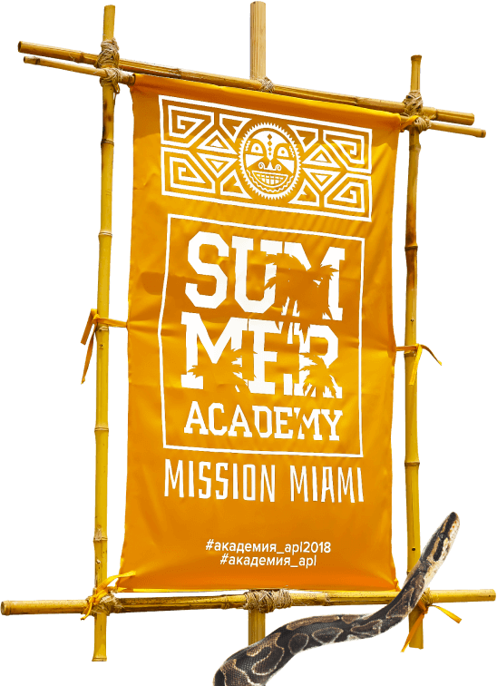 Summer academy Miami