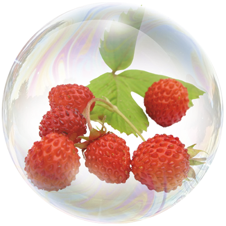 Қулфинай